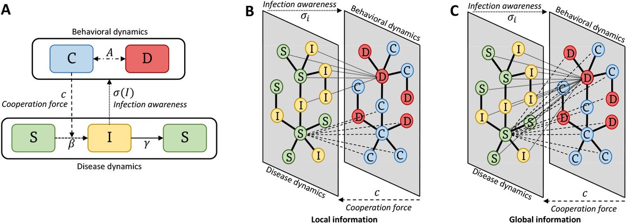 Networks and epidemic models  Journal of The Royal Society Interface