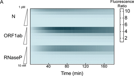 Supplemental Figure 6: