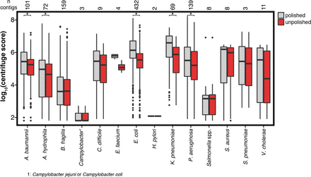 Figure 2: