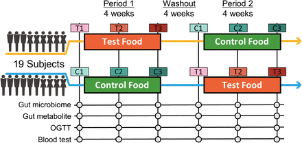 Fig 1.