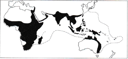 Fig. 2: