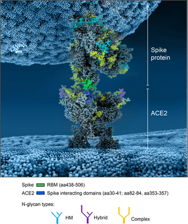 Figure 12: