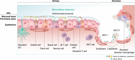 Figure 13: