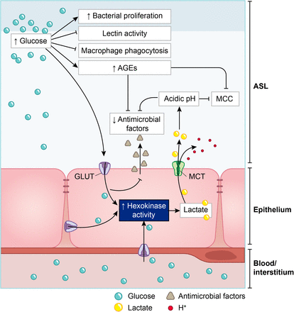 Figure 15: