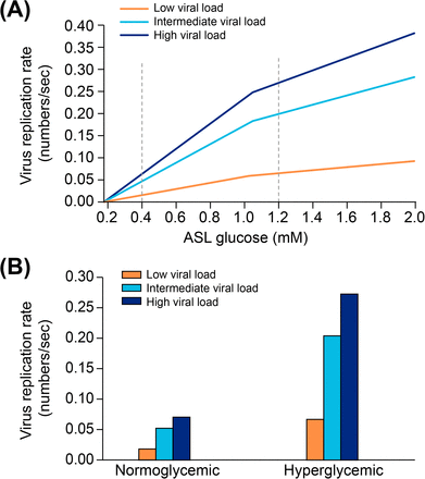 Elevated Blood Glucose Levels as a Primary Risk Factor for the