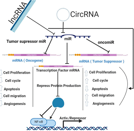 Figure 11: