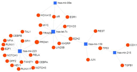 The figure 6: