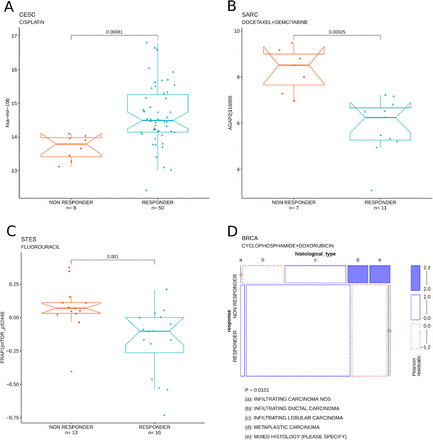 Figure 6: