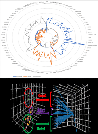 Figure 2: