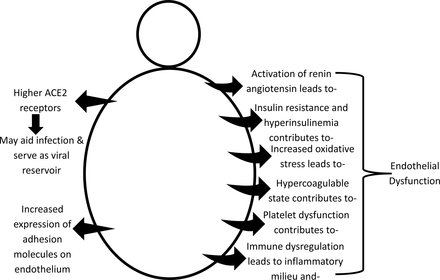 Figure 8: