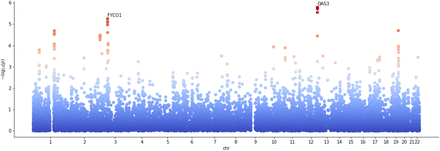 FIG. 12: