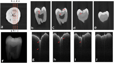 Figure 1: