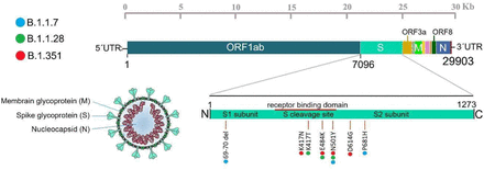 Figure 1.