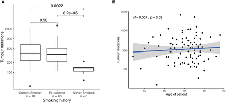 Fig. S1: