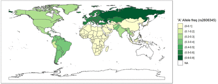 Figure 3: