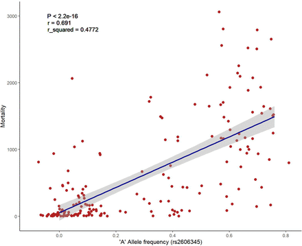 Figure 3: