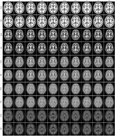 Figure 6.