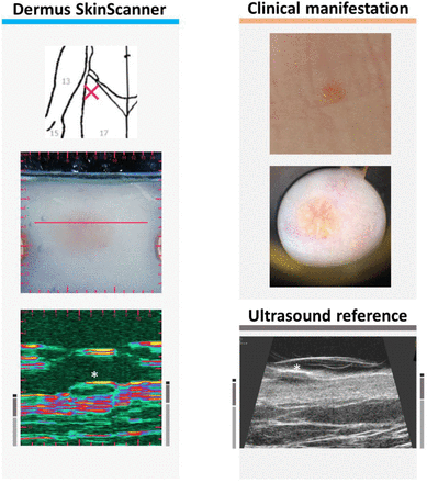 Figure 6.