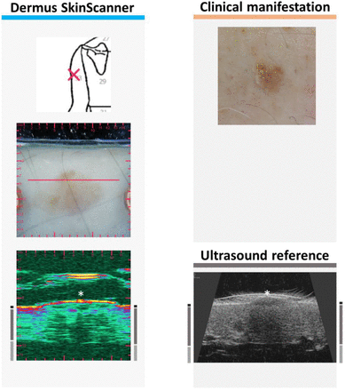 Figure 9.