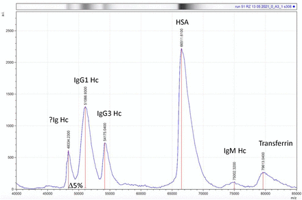 Figure 1 -