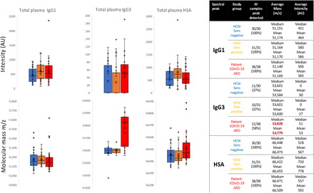 Figure 2 –