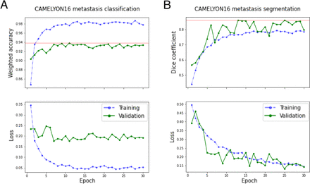 Figure 7: