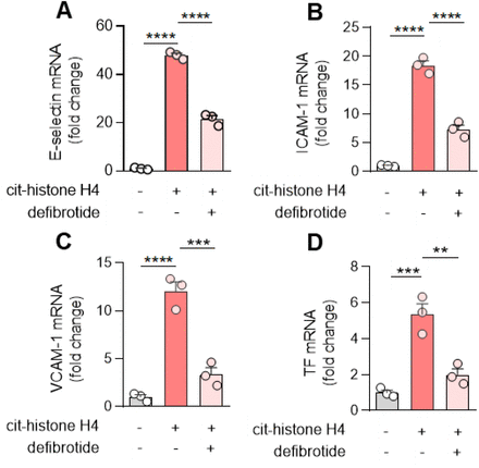 Supplementary Figure 3: