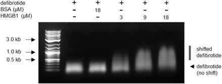 Supplementary Figure 12: