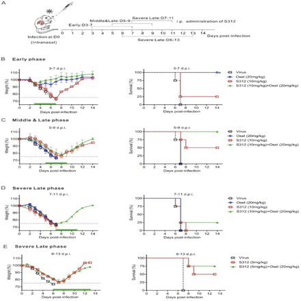 Figure 5: