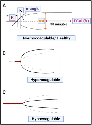 Figure 2: