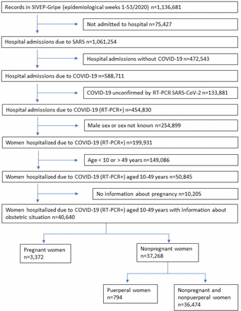 Figure 1: