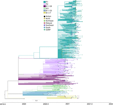 Fig. 2: