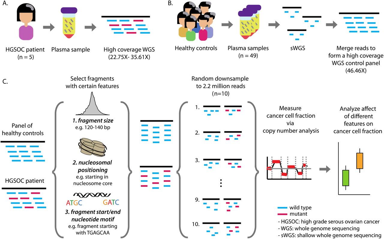 DNA sample analysis times dramatically reduced thanks to new file format