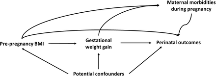 Figure 1: