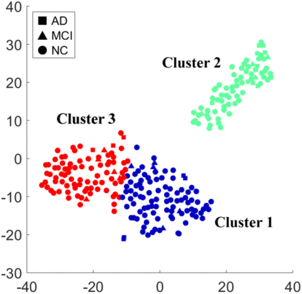 Fig. 4.