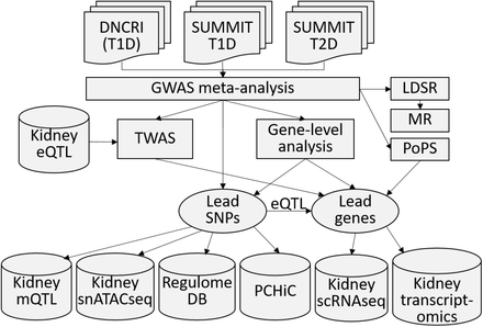 Figure 1: