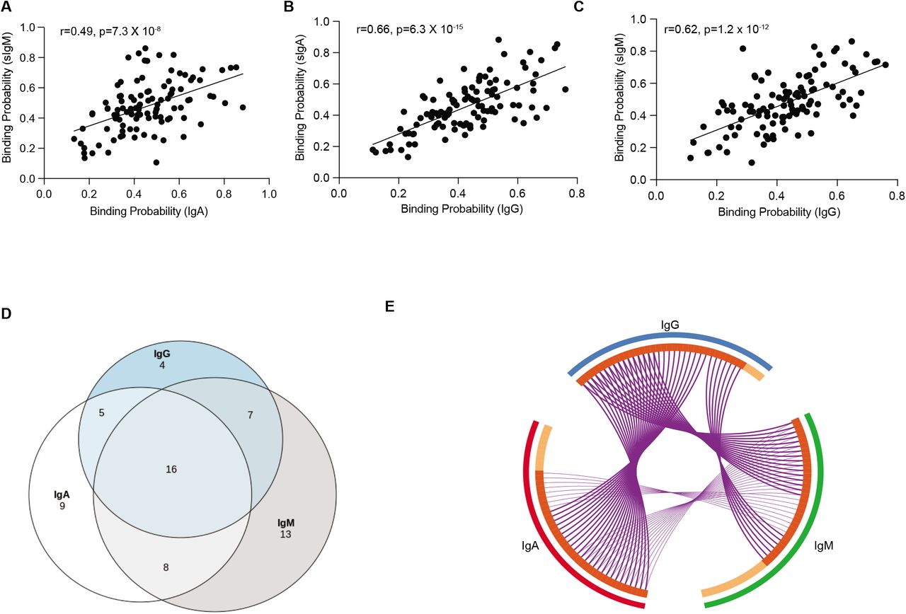 Microbial ecology perturbation in human IgA deficiency