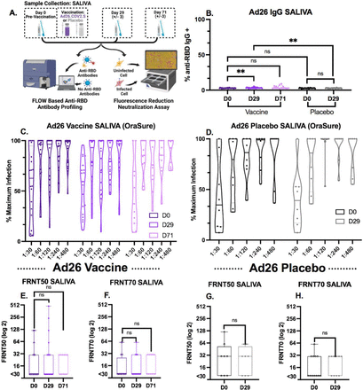 Fig. 3: