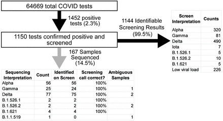 Figure 2: