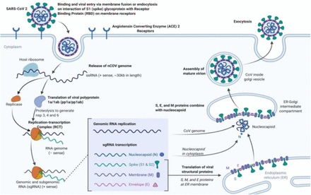 Figure 2: