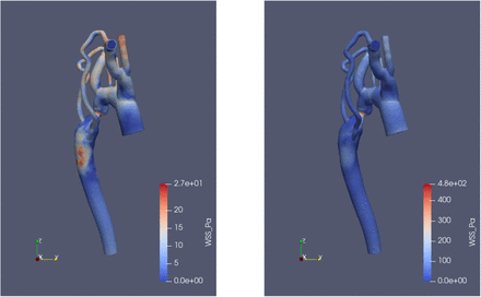 Figure 8: