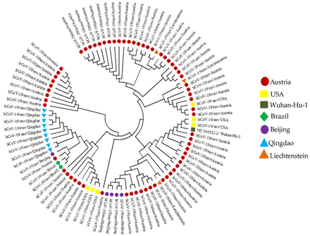 Figure 9: