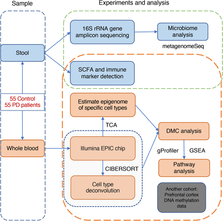 Fig 1: