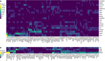 Figure 4: