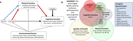 Fig 1a: