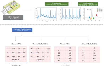 Figure 1: