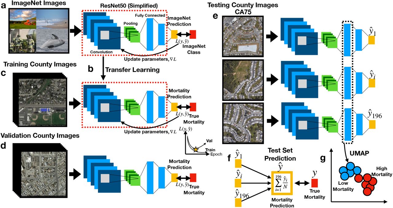Using publicly available satellite imagery and deep learning to