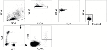 Suppl. Fig. 2: