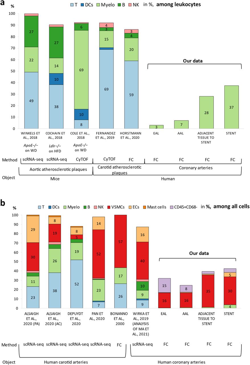 A Definition of Advanced Types of Atherosclerotic Lesions and a  Histological Classification of Atherosclerosis