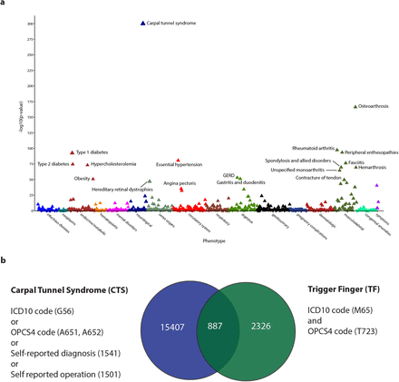 Figure 1: